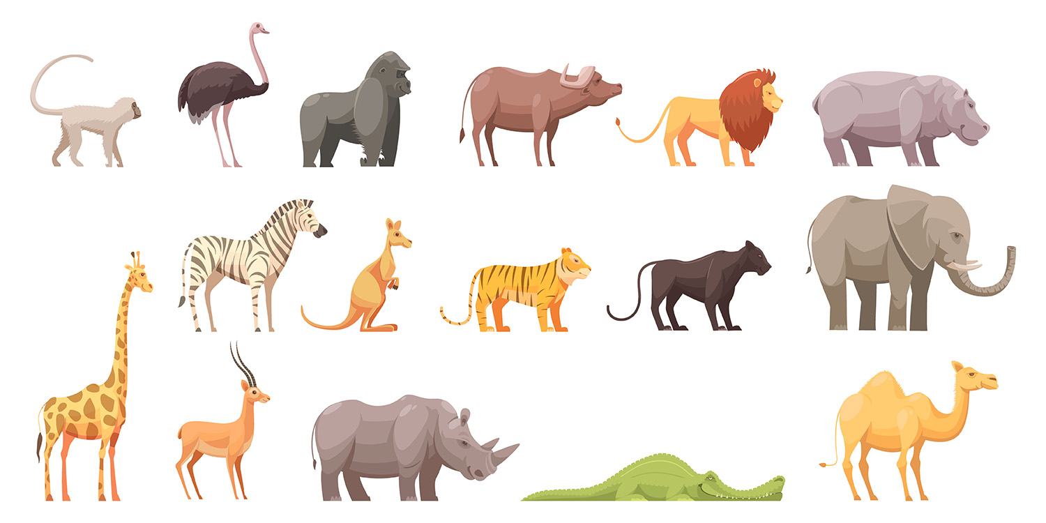 لیست کامل اسامی حیوانات به زبان انگلیسی