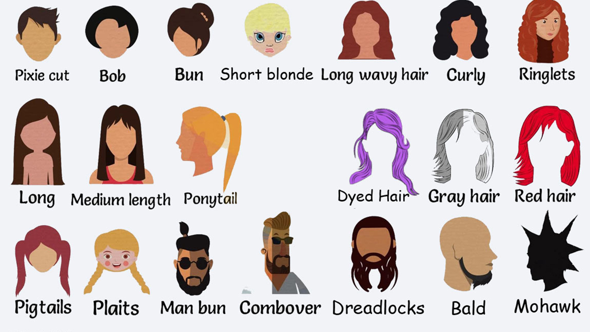 انواع مختلف مدل مو در زبان انگلیسی